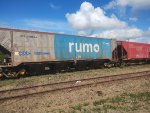 RUMO HPT-031174-0